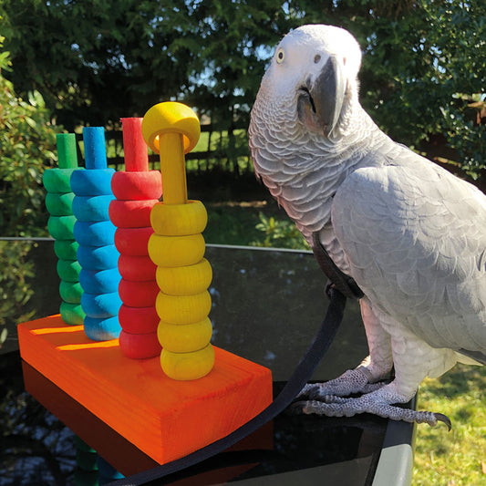 The Teacher Toy Activity Parrot Toy