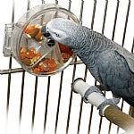 Original Foraging Wheel - Interactive Creative Parrot Toy