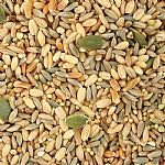 TOP`s All In One Seed and Soaking Mix Parrot Food 1lb