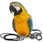 The Aviator Parrot Harness - Large