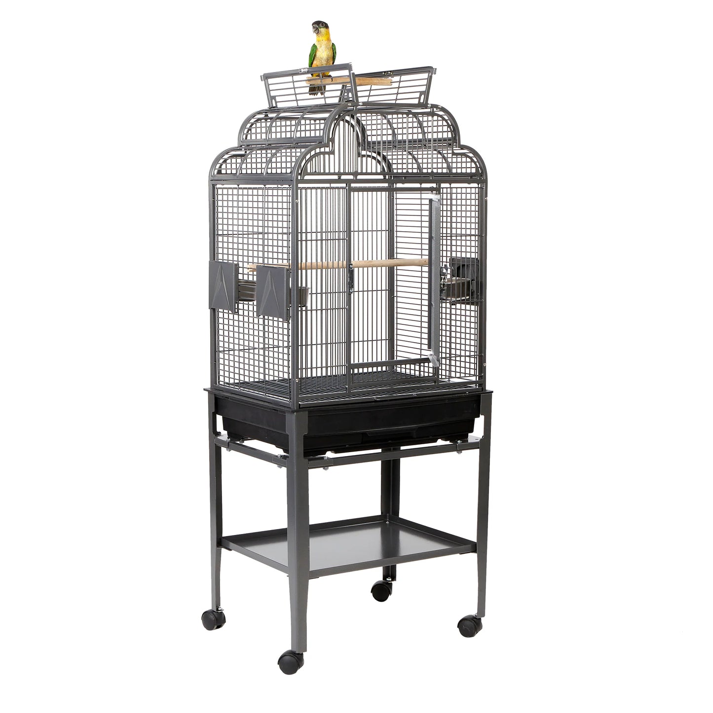 Rainforest cages Peru Medium bird Cage