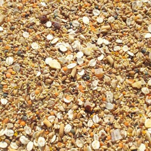 TIDYMIX BUDGIE DIET - HIGH QUALITY SEED BLEND 1KG