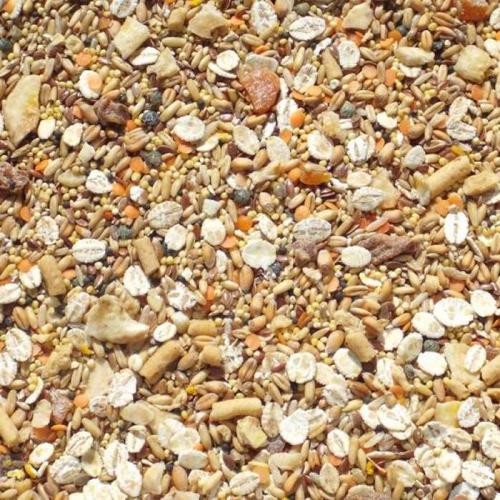 TIDYMIX PARAKEET DIET - HIGH QUALITY SEED BLEND 1KG